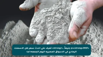 <p><strong>3937 جنيهاً..</strong> تعرف على أحدث سعر طن الأسمنت الرمادي في الأسواق المصرية اليوم الجمعة</p>